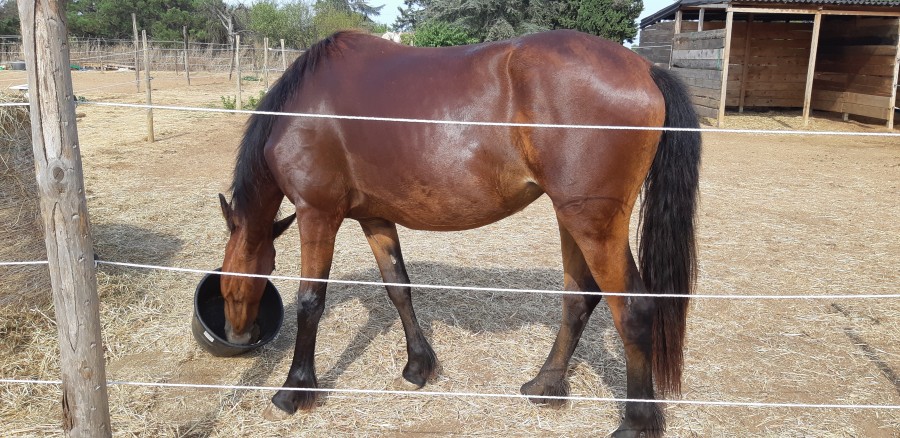 aprs une sance le bon grain