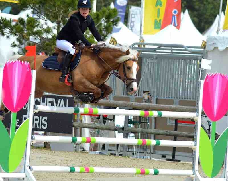 Je vends mon poney Safir de Thouar�, c\'est un hongre PFS de 12 ans (il va en prendre 13 en mai) il toise 1m48, il est fait pour faire des �preuves en ASP1 et ASPELITE. Il a d�j� fait des GP et TDA. 
Il est � 9000? ferme sauf si on ne peut vraiment pas ca
