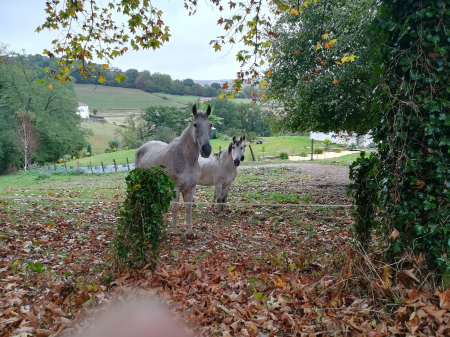 Ne sont il pas magnifique 