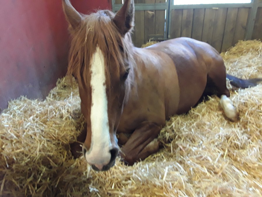 Bon repo aux participants des championnats ! 