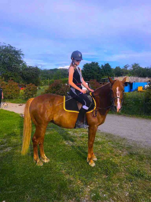 Je recherche un un cheval en DP , veuillez  me contactez