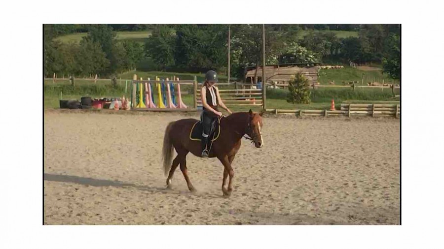 Tres bonne fin de seance !  Je recherche quelqu\'un qui met son cheval en DP