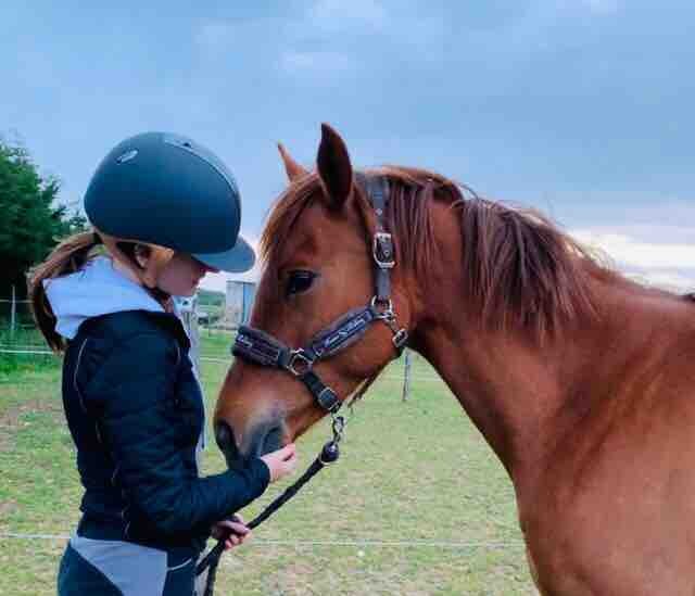 Je cherche une demi pension au tour de Lyon  ! Jai 16 ans galop 3 mais niveau 5-6  . Je suis enclub concours galop 5 . 