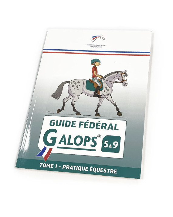 Niveau des galops en équitation : tout savoir sur le galop 1 à 7