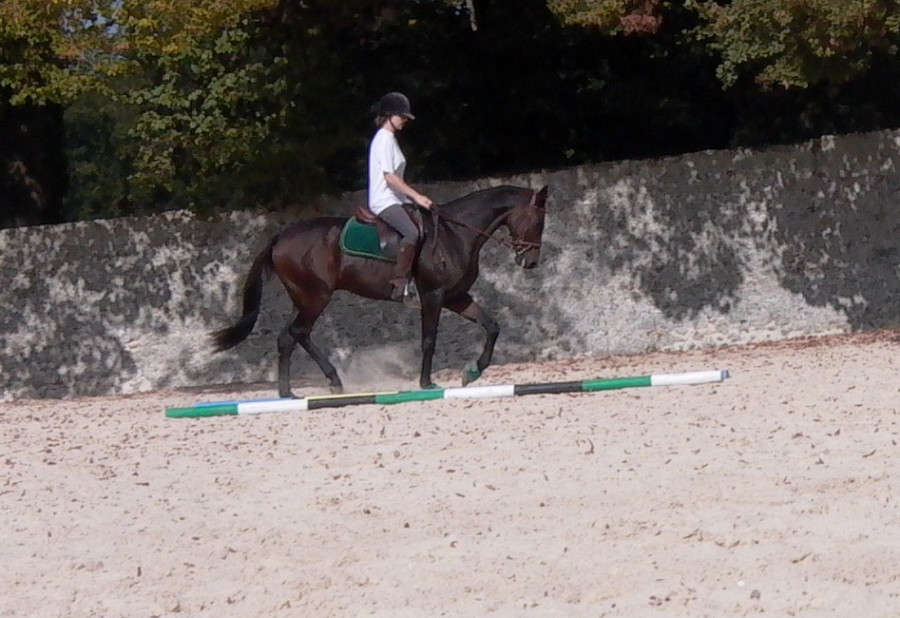 En 2004 chez Bernard