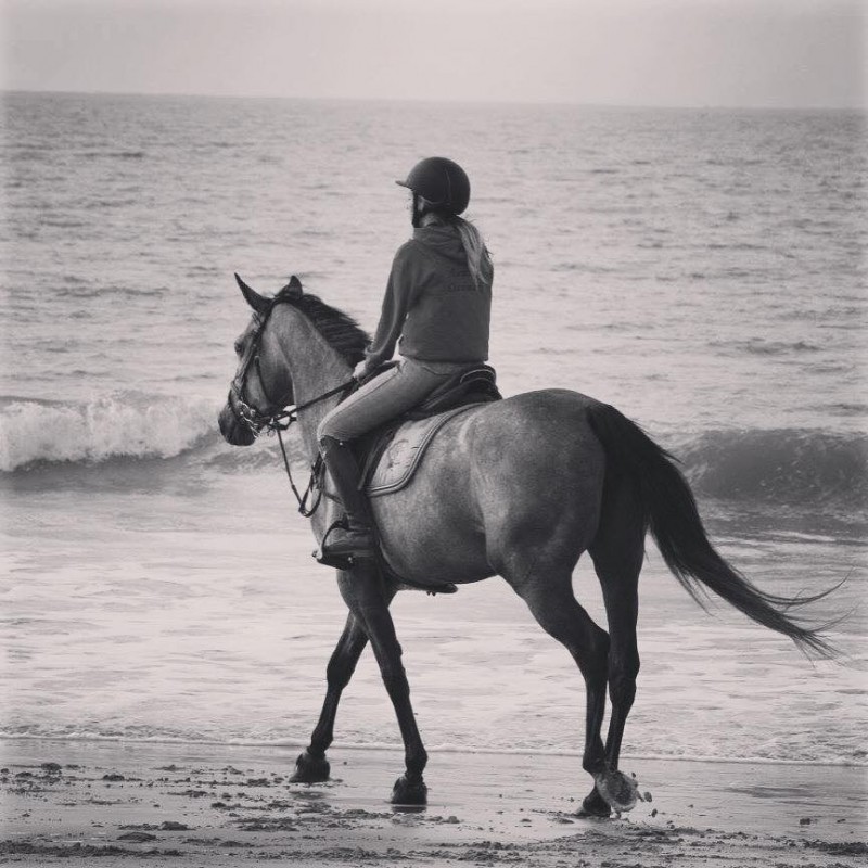 Ol�ron 2015