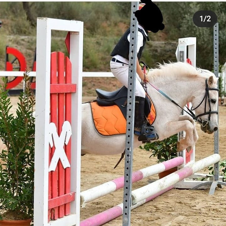 Flippy del Cim