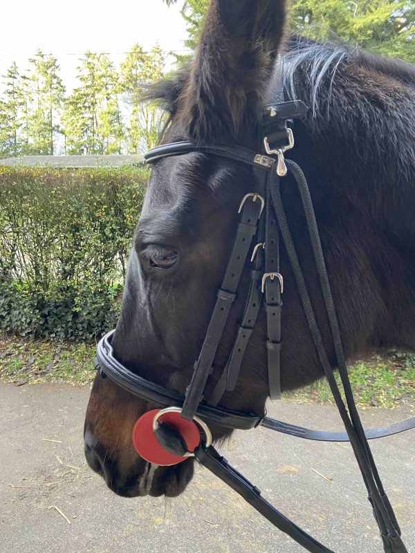 Ma jumean Monalight toute mignonne comme toujours