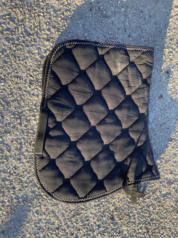 Tapis noir taille cheval
A vendre 20e negociable
Envoie via vinted 
Sera nettoye avant envoie