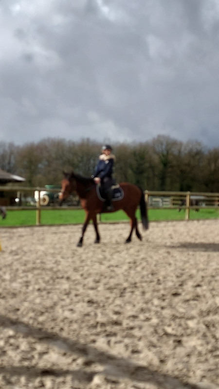 Bonjour, je voudrais savoir si je suis de la bonne taille pour mon poney.. 
Je fais 1m62 pour 50kg et lui je ne sais pas trop donc je vous ai mis une photo pour �tre peut �tre plus parlant