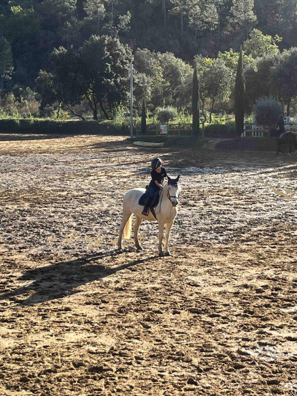 Je cherche une demie pansion au vaucluse 