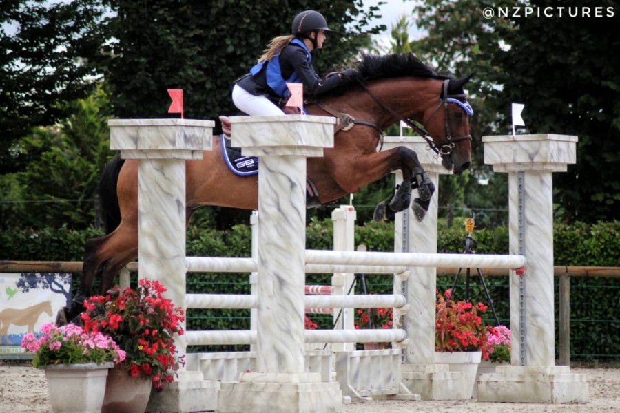 je recherche un cheval � confier pour la saison 2019-2020