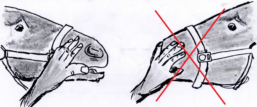 comment guerir les blessures dans la bouche