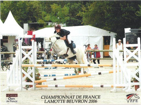 Quelle Taille De Poney Puis Je Monter