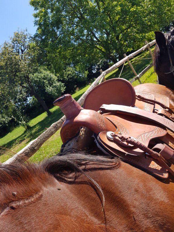 Test : Le choix d'une selle western Wade sur mesure