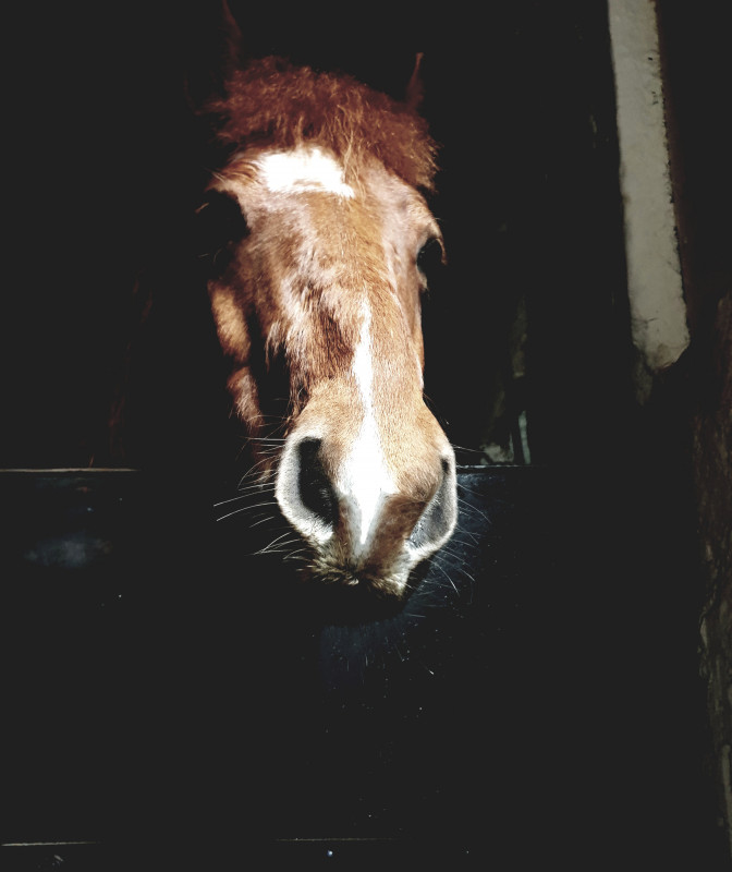 le noir envahit !!!!!