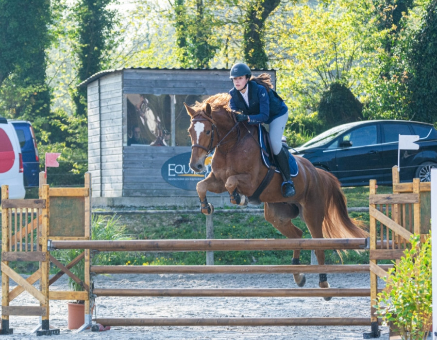 ? Bonjour, je suis actuellement  la recherche d\'une demi-pension pour mon cheval Gucci de 6 ans. 1m66 environ . Cheval Gentil, froid et trs pratique malgr son jeune ge,  idal pour un cavalier voulant ce faire plaisir. 

Il est actuellement en pensio