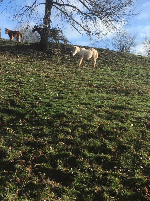 Les rayon de soleil revienne 