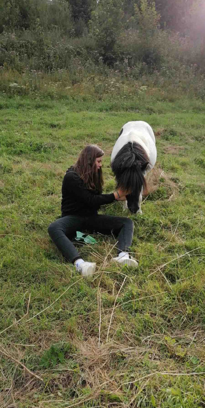 bonjour je me prsente 
je suis cavaliere depuis 10 ans j\'ai mon galop 4 je recherche un cheval/jument ou grand poney a travailler en confiage ou dp 
 je suis une cavaliere de cso avec pour but commencer le complet je suis du 76 ( saint saens ) merci de 