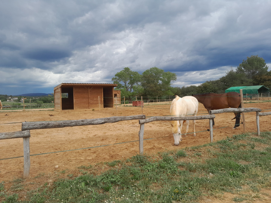 les paddocks avec abris et abreuvoirs automatiques