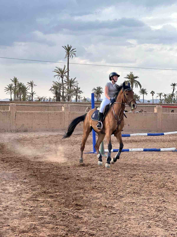 Layali ! 