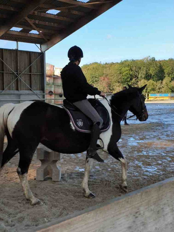 Bonjour je suis une jeune cavali�re de club ! Je partage ma vie avec les chevaux depuis un bon moments mais jai repris ca il y a pas longtemps ! Je suis a la recherche d\'un petit cheval ou f\'un poney d\'assez grande taille (peut importe)j\'ai un assez p