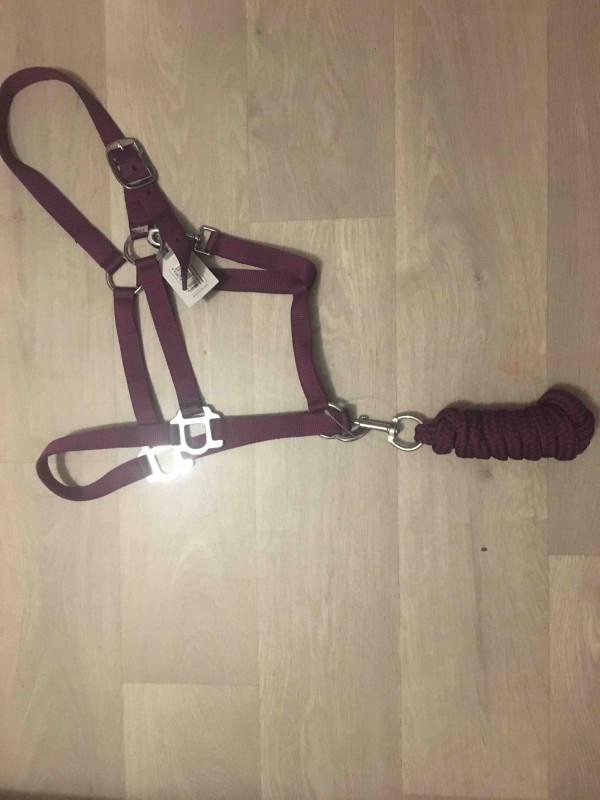 licol violet avec corde , neuf  , taille cheval
10?