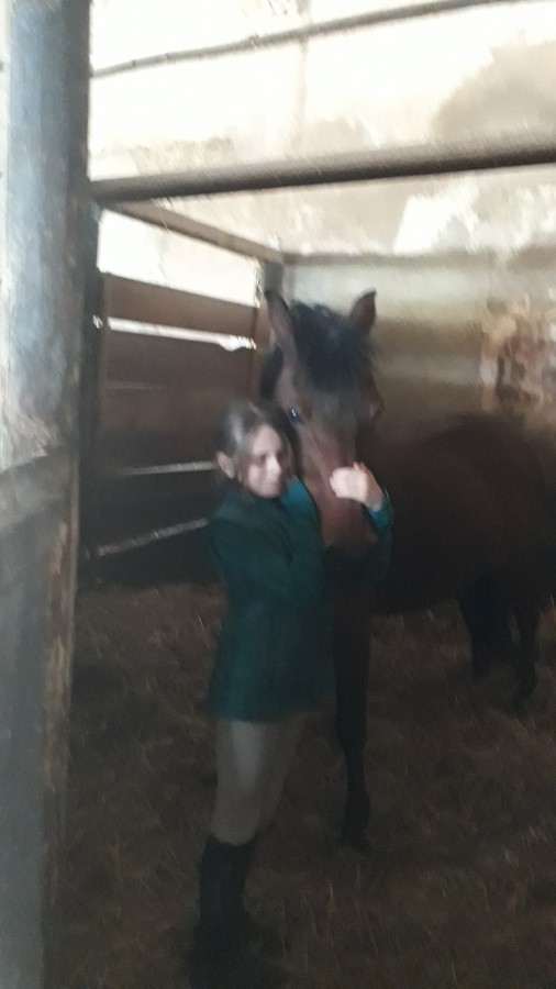 les ecuries de camiac et ma leila??