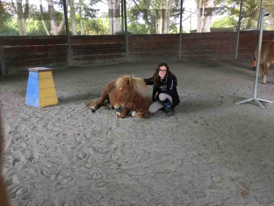 Je recherche une demi pensions
Je possede le galop 4
Je recherche dans le 22 plus precisement vers lannion,trebeurden...etc 
Je ne recherche pas un cheval de concours juste un cheval pour me faire plaisir
