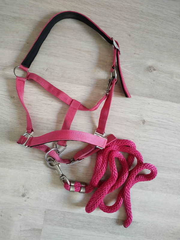 Bonjour, je vend un licol rose de taille cheval en tr�s bon �tat presque pas utiliser, a 5? dans le 66 (les Alb�res) N\'h�sitez pas a me contacter pour plus de renseignements