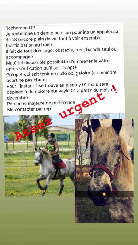 Je reche une demie pension pour mon cheval il se trouve dans l\'ain