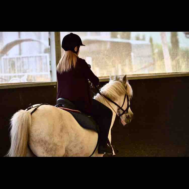 Je recherche un shetland/poney/cheval �  confier cette �t�, pour le simplement le sortir le doucher et eventuellemt le mont� en Haute Savoie aux alentour de Gen�ve, j\'ai 13 ans et j�ai mon galop 1 mais niveau 2/3. Je suis disponible tout l\'�t� sauf la s