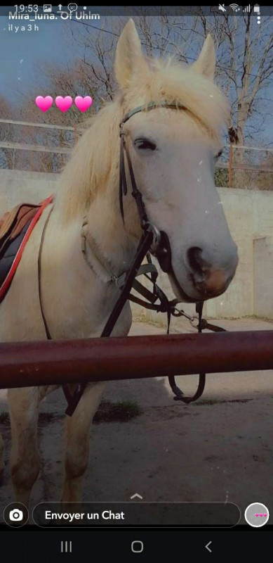 Voici ma mira caractres svre mais gentille trs belle 
