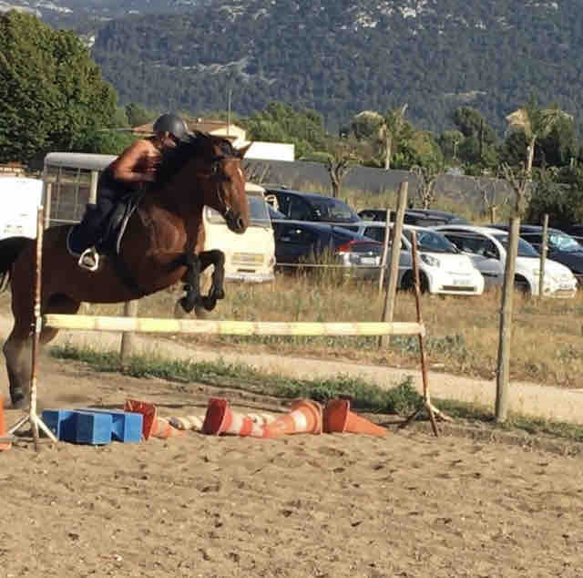 Bonjour cherche cheval a confier sans frais   deplacaple dans le (13)                                         Galop 3 attend de passer le 4   Possibilite de le monter en saut , dressage ou balade monte peut etre encadrer par un galot 6 ou 7         . Pour