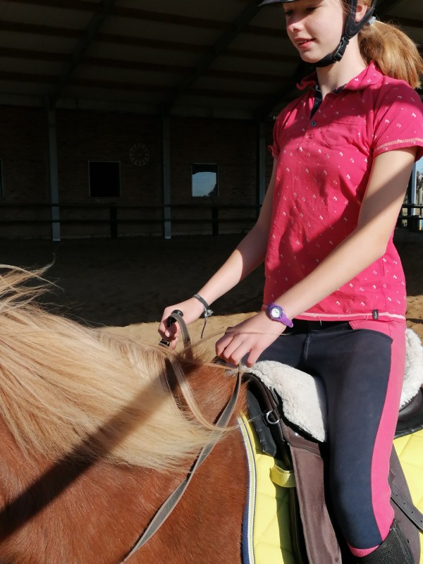 Cheval, je ne pourrai te dire pourquoi je t\'aime, car il faudrait que je te dise pourquoi je vis??