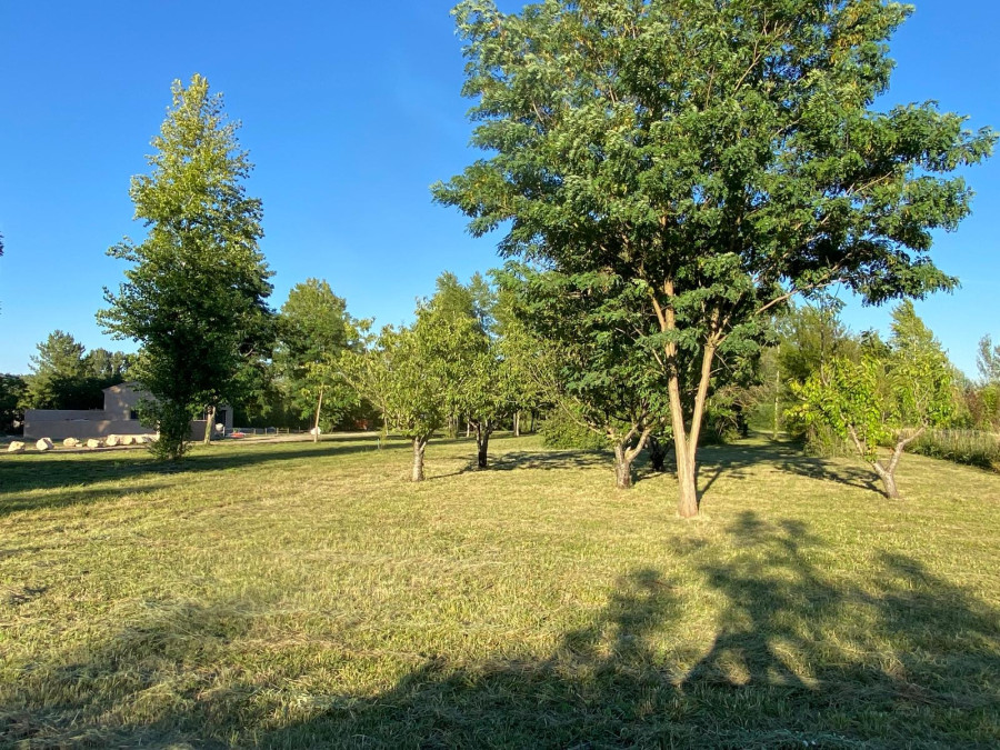 terrain