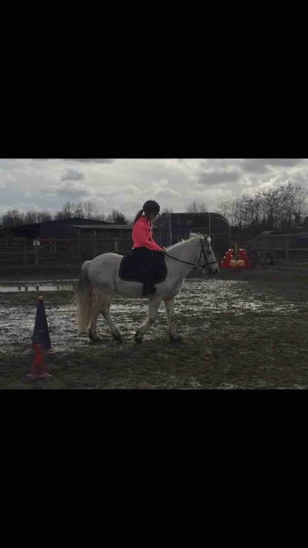 Bonjour je suis a la recherche d\'une dp depuis maintenant 1ans je cherhce double poney ou petit cheval j\'ai 11ans je m\'appelle Marine et j\'habite a colmar je monte dans l\'�curie esperanza a houssen j\'ai mon galop 3 et j\'adore saut�. Pour plus d\'in