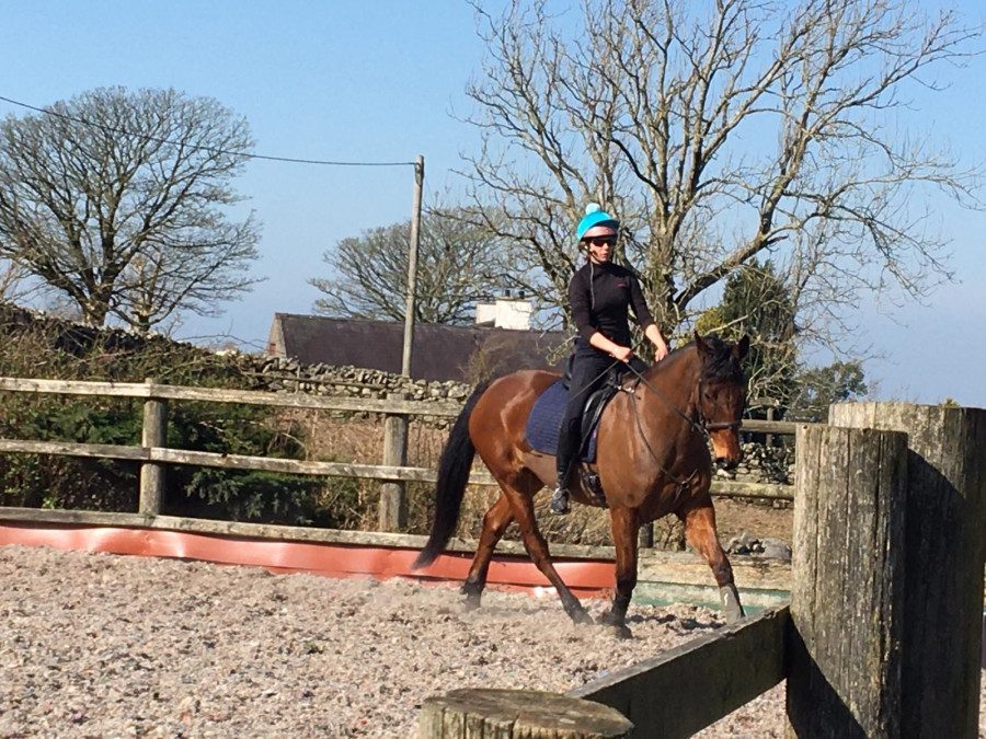 Groom/rider vacancy - Wales (UK)
Poste de Palfreni�re-Cavali�re � pourvoir jeune fille au pair. Pays de galles (Royaume-Uni).
Anglais non essentiel.
Bin niveau d\'�quitation requis

Recherche jeune fille au pair entant que groom/cavali�re dans une petite 