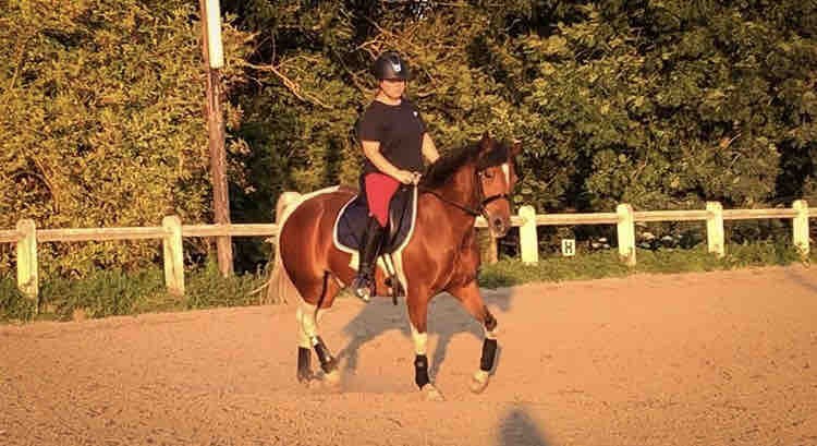 Bonjour,
 
Je recherche un/une demi pension  
2 jours par semaine sur Mon poney Unesco du bois, pleins papiers de 11 ans. il est gentil, c�lin, Respectueux et Joueur 
minimum galop 5, sachant bien g�rer un poney. 

Il se situe � Aubers au Domaine de L?Hip
