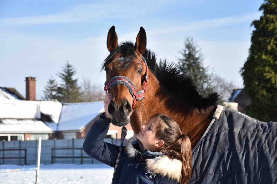 Salut je voulais savoir si vous connaisaissez de bon endroit en france pour de colo d\'equitation niveau galop 6 avec un budjet de -700 ? ? Merci pour vos reponses ;)