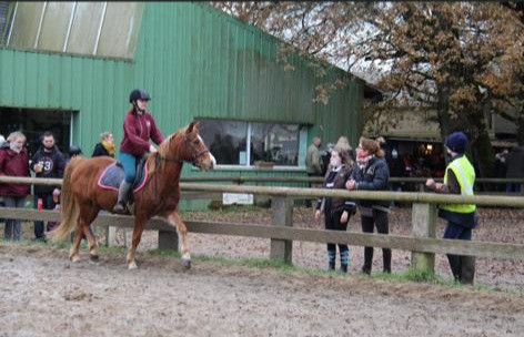 Bonjour, je m\'appelle Margot j\'ai 14 ans j\'ai mon galop  3 et je passe le galop 4 cet �t�. Je suis a la recherche d\'une tiers de pension et je peux envisager une demi pension dans les alentours de st nazaire en loire  atlantique (44). N\'h�sitez pas a