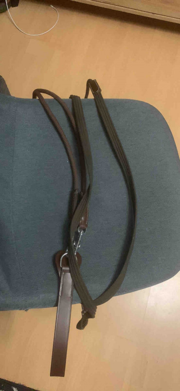 R�nes allemandes marron Padd � vendre . Elles sont neuves. Taille grand poney / petit cheval . 