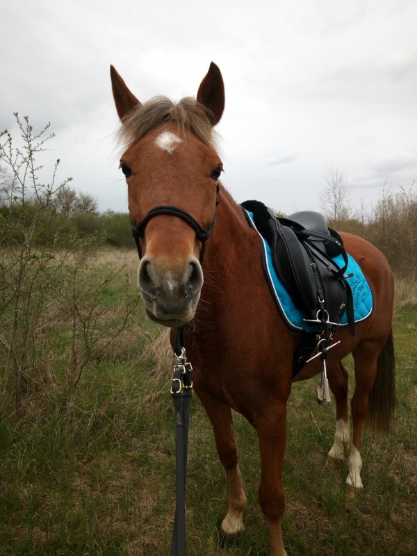 Avril 2019, 4ans et demi