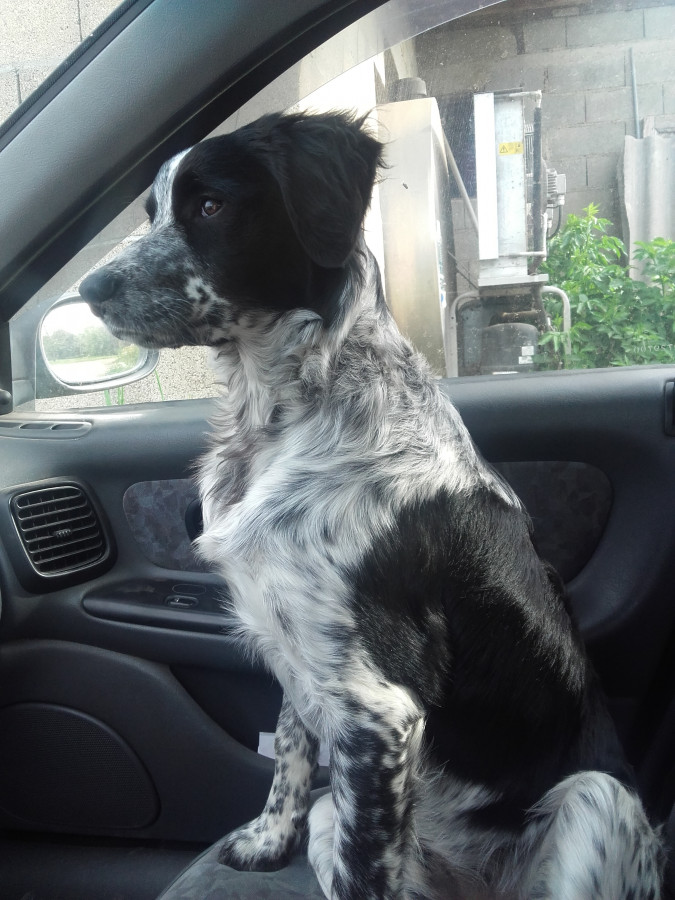 En voiture!!!