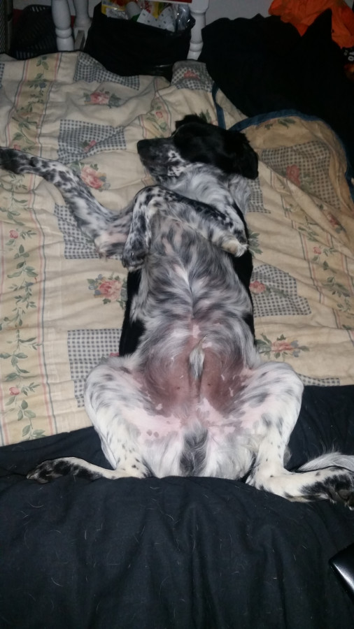Tout jeune et � l'aise