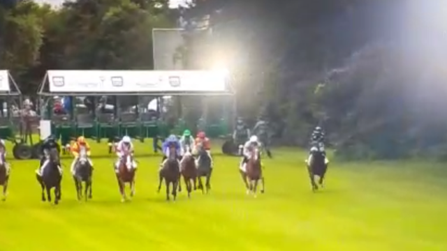 Rducation du cheval athlte