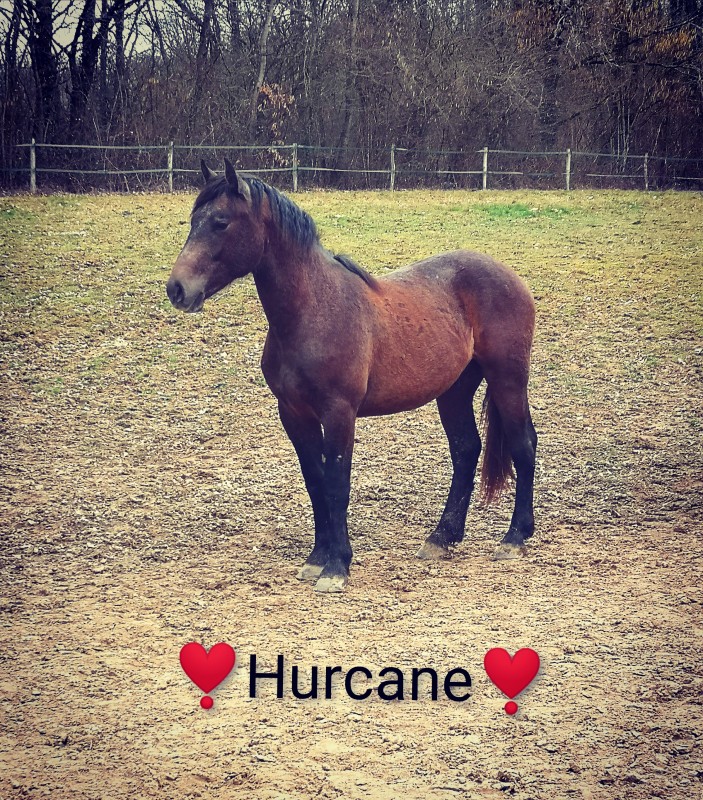 Mon bebe ??