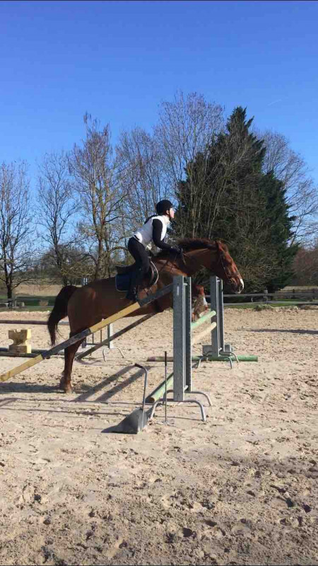 Bonjour , je suis a la recherche d\'une demi pension dans le 17 . J\'ai le galop 5 , je pratique l\'�quitation depuis 8 ans .