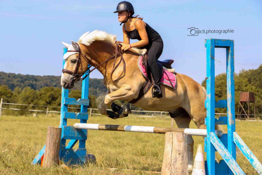 ?LOCALISATION: DOUBS?

Bonjour, je propose une demi-pension (sous contrat uniquement) sur mon poney pour du loisir exclusivement � partir de septembre 
-saut: uniquement avec un moniteur ou en ma pr�sence
-dressage: conna�t les bases 
-balade: part accomp