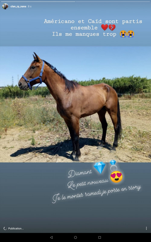 Diamant ?? le nouveau de lassos bientt a la vente !
N\'hsitez pas si vous avez des questions venez en message priv ! 